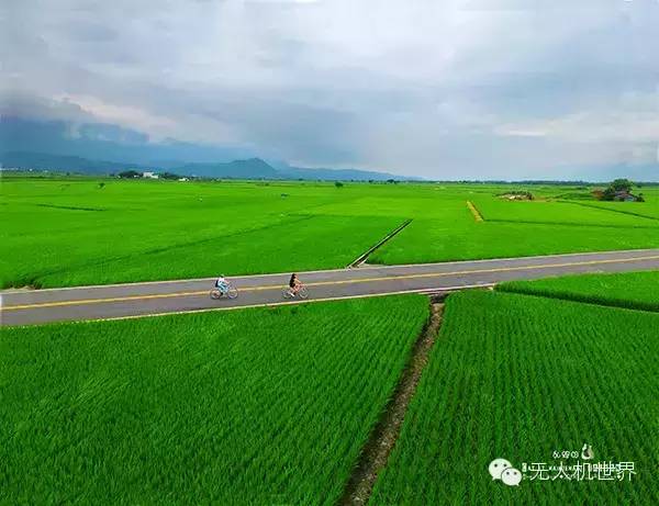 北京飞手乱跑的猫：航拍台湾9日夜 曾在太平洋上追海豚