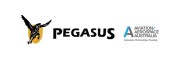 Pegasus