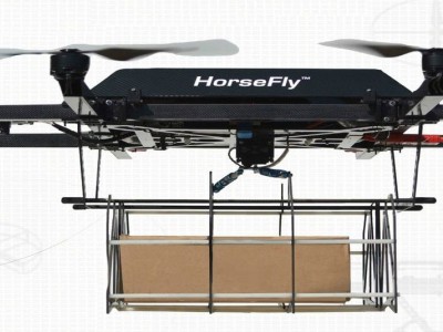 Workhorse--Horsefly图2