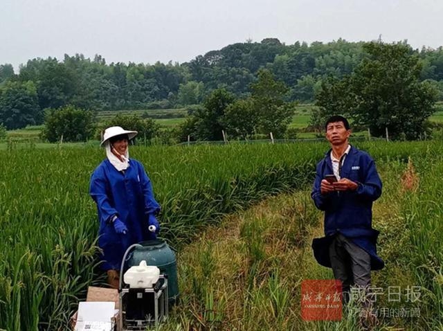 赤壁贫困户“玩转”植保无人机“飞离”贫困奔富路